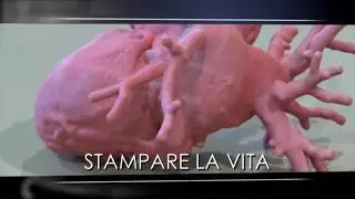 3D4MED @ TGR Leonardo 26/12/2019