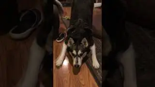 No one wants to Play with me!