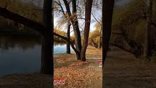 красоты Зауралья, люблю безгранично 