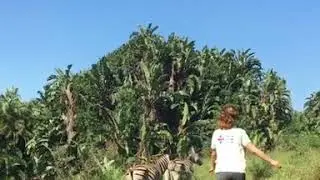 Kate Beckinsale Never say I’m afraid to approach a dazzle of farting wild zebras