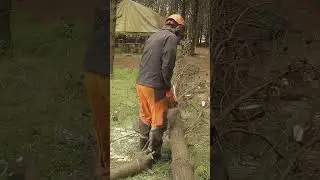 Not A Professional 20