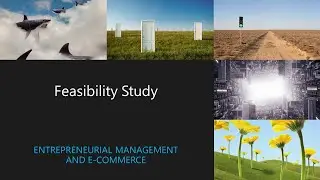 5 Feasibility Study 2