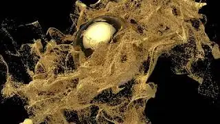 GoldPlanet