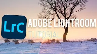 Lightroom Classic Bildbearbeitung - 