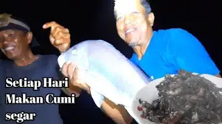 Berpetualang Berburu Cumi dan memancing Ikan Langsung dimasak, Makan cumi segar