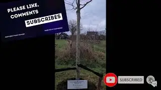 PLANT TREES FOR THEIR LOVEONES