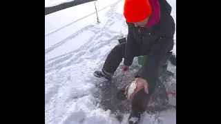 Первая зимняя Рыбалка!!УДАЛАС-ЛИ?