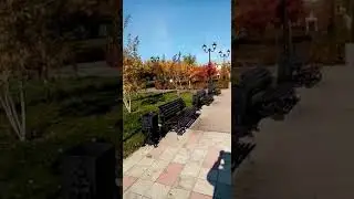 11 ноября 2020 г.