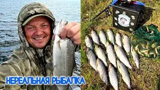 НЕРЕАЛЬНАЯ РЫБАЛКА ПЕЛЯДЬ НА УДОЧКУ