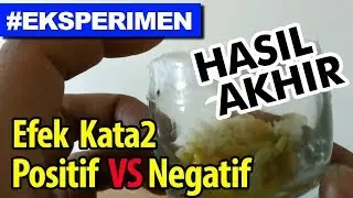 Eksperimen kata-kata positif / negatif | HASIL AKHIR