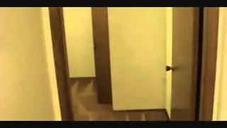 24025Dov.wmv
