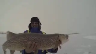 Щука-Монстр
