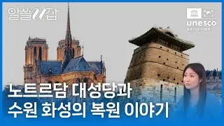 노트르담 대성당과 수원 화성은 어떻게 원형 그대로 복원될 수 있었을까? | 알쓸U잡