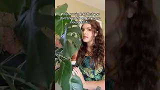 My Houseplant Addiction 🪴 
