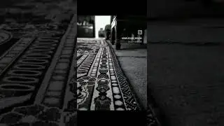 black always do a magic in the photo 