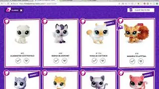 Girl Scout /Boy Scout Project - Creating a Littlest Pet Shop Site with Angular