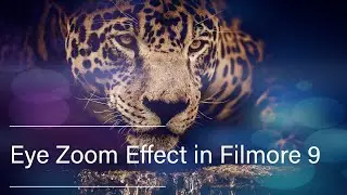 Eye Zoom Transition Effect in filmora 9 | How to Do eye zoom effects | Filmora Effects & Transitions