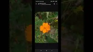 How to resize photo in mobile without any app | Photo resize kaise kare 