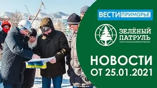 Зеленый патруль в г. Находка, Приморский край