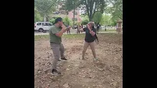 PAL PAL! Extended Clip!