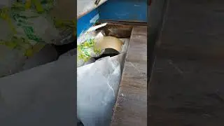 11 марта 2024 г.