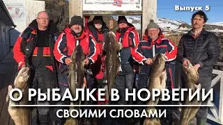 Рыбалка в Норвегии.  Оснастки. Ставки (продолжение)