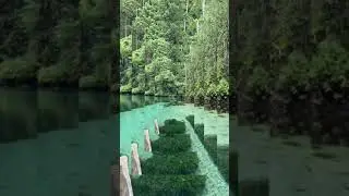 Наша реальность 😎👍🏾