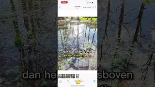 Foto in het bos? 🌳🤯 