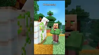 Villager Vs Pillager hahahaha 😂 