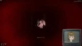 Solo shotgun ready or not pt 4
