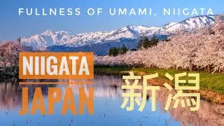 Niigata Prefecture, Japan - Must visit places in Niigata and Food to try.