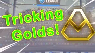 Tricking Golds Into 1v1ing Me...
