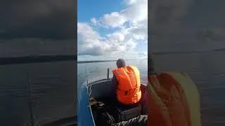 26 июня 2024 г.