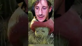 Lo que NO viste de la peli🎬 de Super Mario Bros 😂