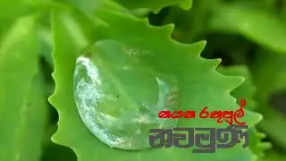 Nawamuni Nayana Rathupul