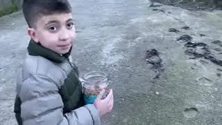 10 günlük rotveiller yavruları @egedogdu67