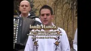 Ionut Hamza - Dulce o fost dragostea