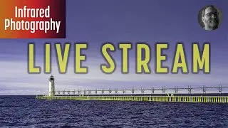 Infrared Photography Live Stream