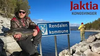 Storørret jakt i Rendalen del.3!