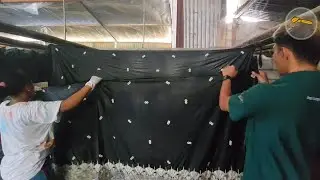 trik jitu penjemuran batik lilin pecah