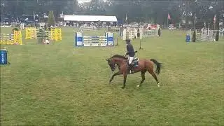 come ill faut meerlo 130