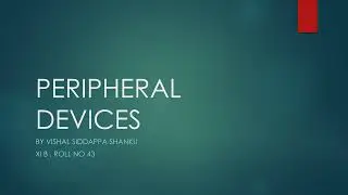 Explore the World of Peripheral Devices: A Comprehensive Guide