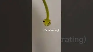 These pets are terrible... but they're cute. 