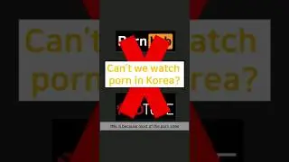 Can't we watch porn in korea? 