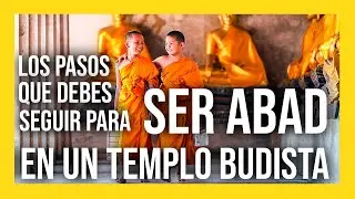 1x06 I Hierarchical Ranks and Buddhist Names I with the Abbot of ⛩️Shaolin Temple Europe ⛩️ 