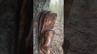 когда рыбалка уже секта,но тебя никто не понимает #shorts