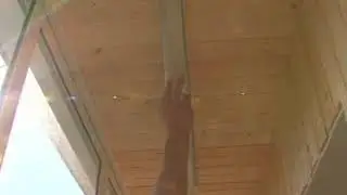 Визитная карточка
