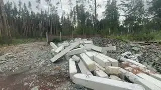 29 июля 2024 г.