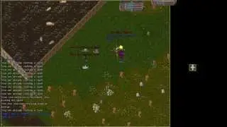 How to Stop an Effective Mage Dump