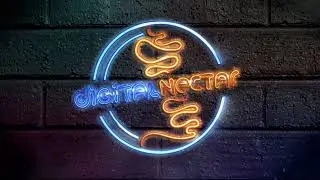Digital Nectar Studio Imagine The Possibilities Promo 2024
